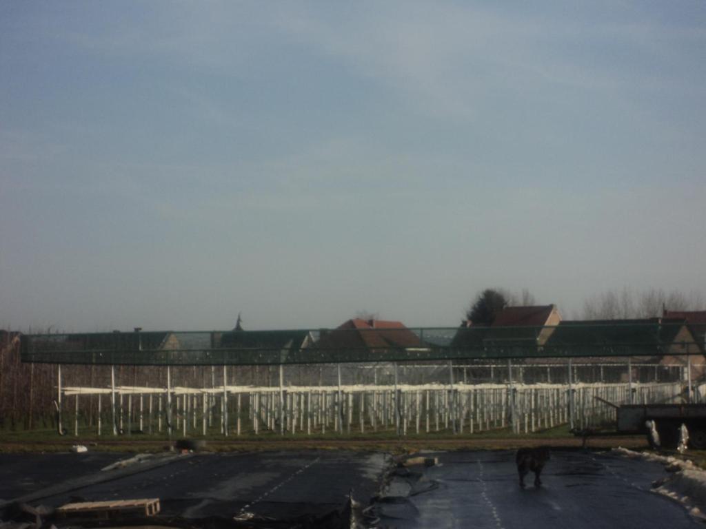 Juwel Fruithof Zepperen Quarto foto